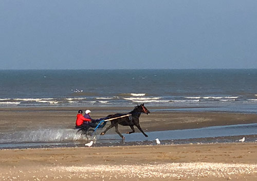 Sulky on beach in Normandy